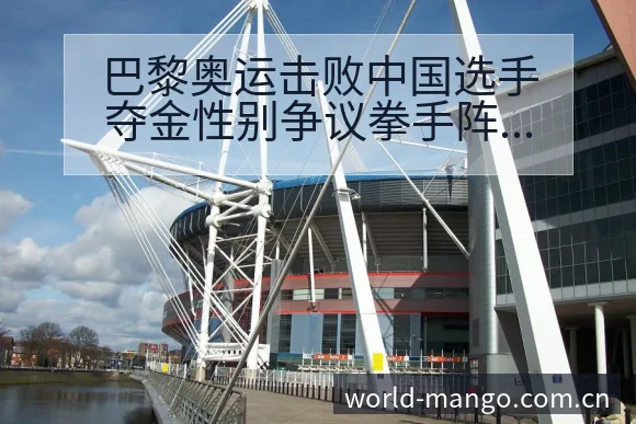 巴黎奥运击败中国选手夺金性别争议拳手阵容调整影响风险观察 - 芒果体育官网